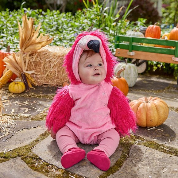 Pottery Barn Kids Baby Flamingo Costume 12-24M - Picture 4 of 9